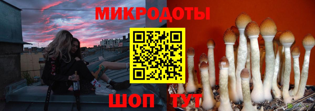 Галлюциногенные грибы прущие грибы  Вход с VPN  Псилоцибиновые грибы Psilocybine cubensis  Ярославль 
