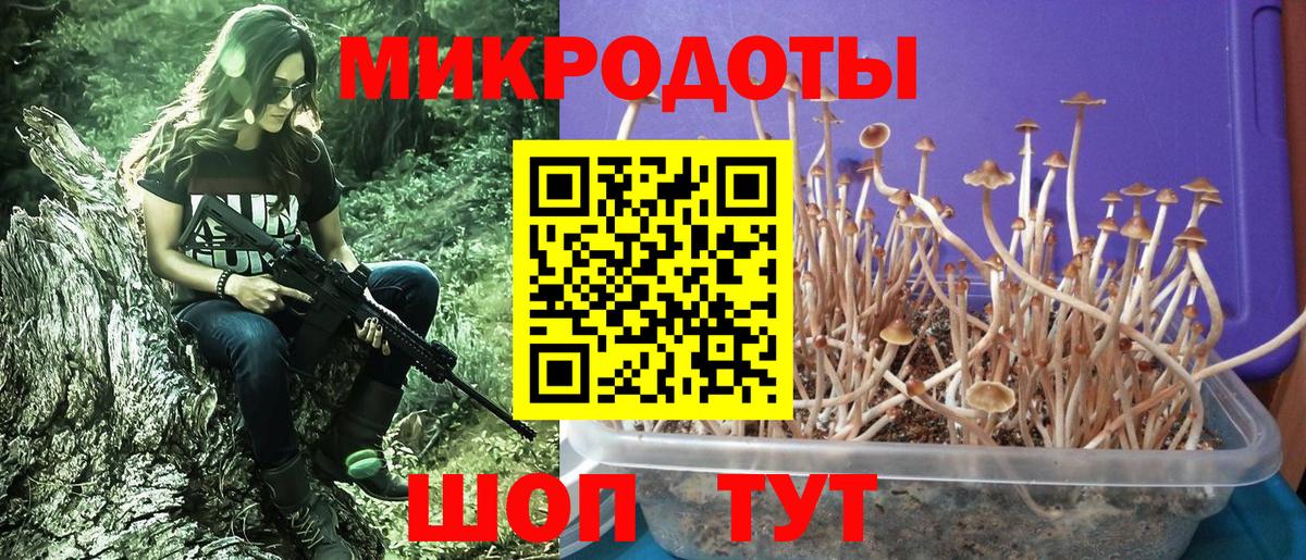 Галлюциногенные грибы Magic Shrooms Ярославль
